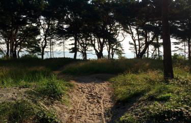 Apartment Meeresrauschen -mit Meerblick oberstes OG - Foto 32