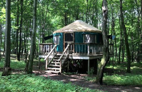 Incredible Equipped Yurt Amazing for a Glamping Experience in East Meredith, New York - Foto 1