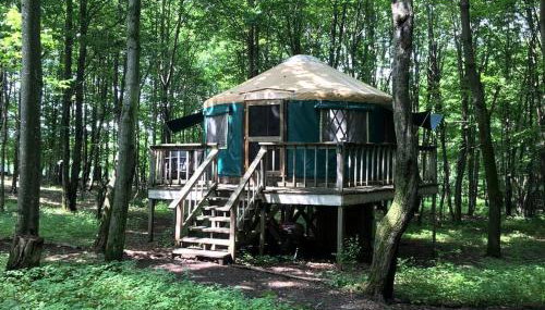 Incredible Equipped Yurt Amazing for a Glamping Experience in East Meredith, New York - Photo 1