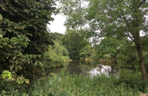 Cook's Flat - Foto 19