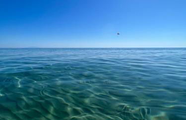 Résidence LO MONACO Haut de villa, Appartements et Studios - Foto 77