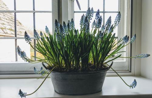 5 star Cotswold luxury with orchard garden - Foto 31