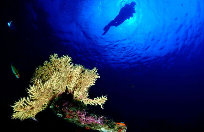 Curso de buceo PADI Open Water - Foto 5