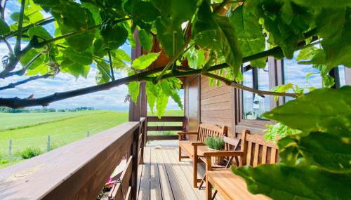 Domek w polu - Foto 4