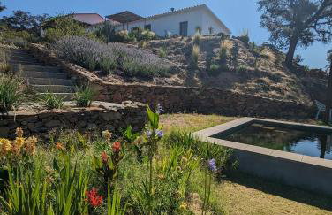 Finca Bravo - Foto 39