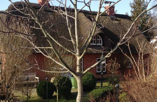 Das Reetdachhaus - Paulines Höft - Foto 14