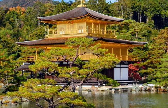 Tour completo por Kyoto com ingressos - Foto 2