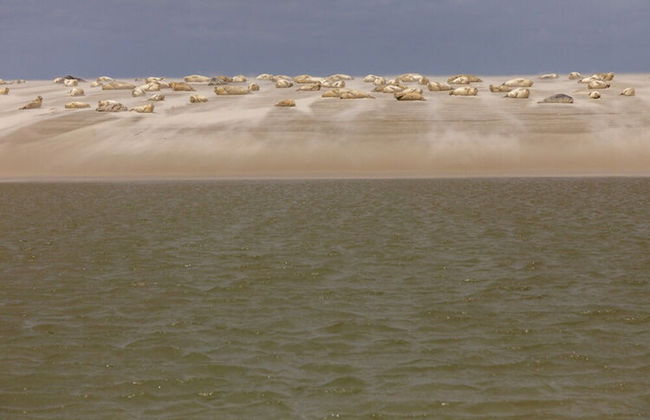 Ferienwohnung im Reetdachhaus auf der Pellworm - Foto 15