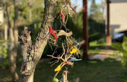 Lindo Sítio Estilo Moderno - Foto 26