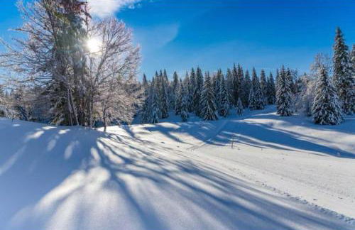 Chaleureux studio montagnard avec balcon 2402 - Foto 20