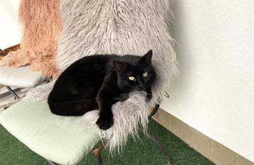 Bergbauernhof Wechs - Photo 31