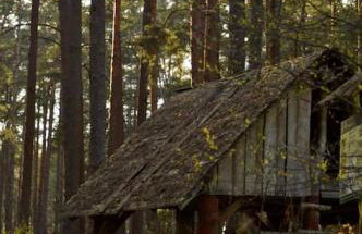 Pod Dębem - Foto 18