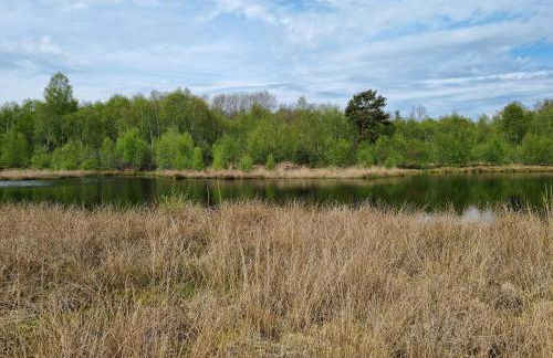 Ferienwohnung an der Mühle - Foto 11