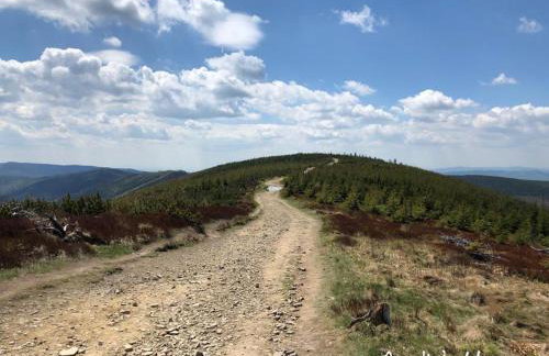 Amelie's House - Foto 51