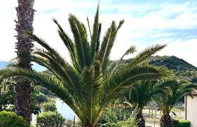 Palma Seaside Villa 1 - Foto 15