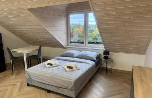 Przystanek Niesiołowice - noclegi na Kaszubach - Foto 1