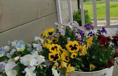 PUSZCZYKOWO siedlisko&spa - Foto 73