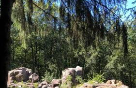 Casita - Sterneferienhaus mit Garten, Sauna und Wallbox - Foto 48