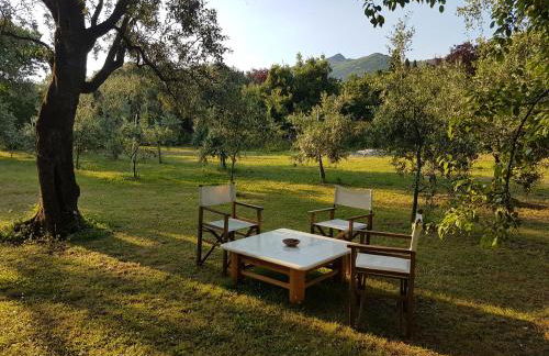 Antico Uliveto - Foto 27