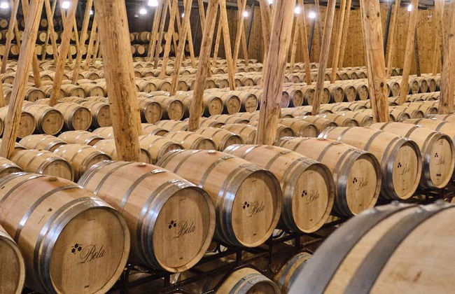 Visita a la bodega Bela - Foto 1