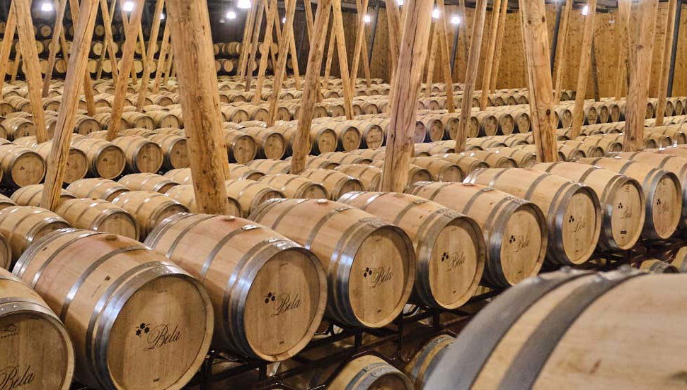Visita alla cantina Bela