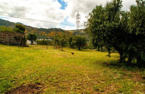 Quintinha Viçosa - Foto 63