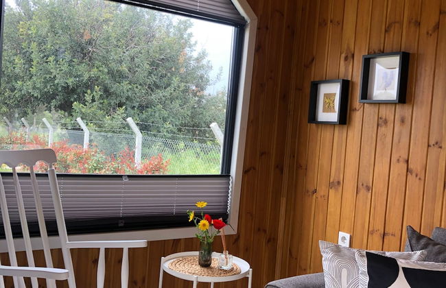 Radika Datca - Photo 10