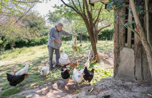 Granducato di Monteballante - Foto 37