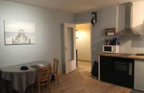 Appartement en Rez de jardin climatisée 2 pièces-cuisine avec terrasse et jardin - Foto 13