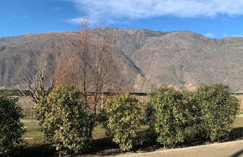 IL COMO' DELLA CIVETTA - Nido della Civetta - Foto 15