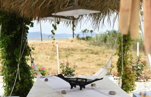 Los Almyros - Photo 52