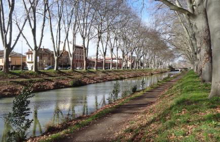 Le Brienne Toulouse Centre - Foto 13