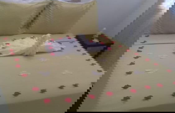 Caribbean Dream Vacation Property - Foto 45