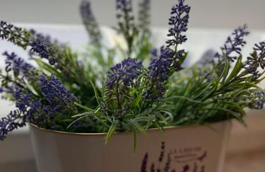 Pension Lavendel - Foto 49