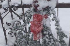 LA CASETTA DELLA NONNA - Photo 49