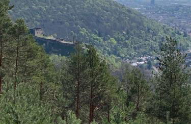 Dicker Stein - Foto 43