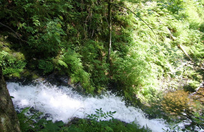 Ferienwohnung mit Talblick in Todtmoos - Photo 40