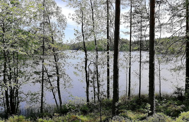 Salkolahti Minttu - Foto 30