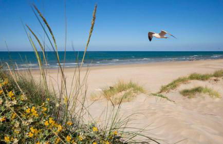 OLIVA HOLIDAYS 1 - Photo 21