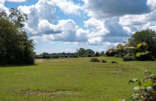 The Lookout - Foto 25