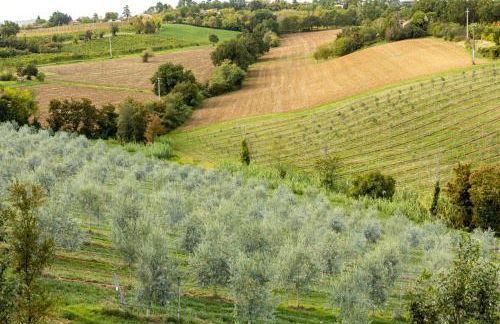 COUNTRY HOUSE OLIVETO SUL LAGO - Foto 23