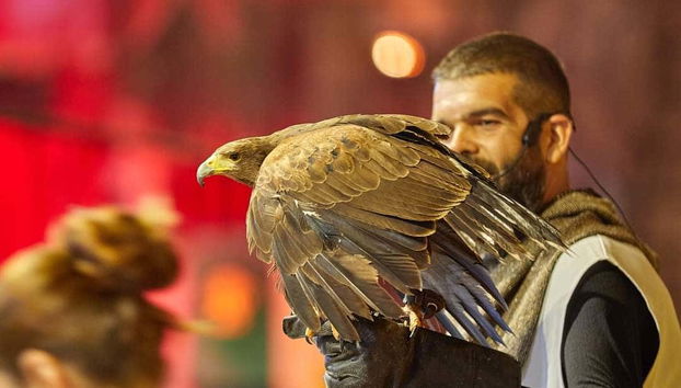 Spettacolo con uccelli rapaci
