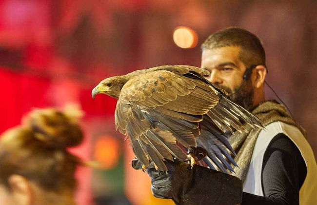 Castillo de San Miguel Medieval Show & Dinner - Foto 5
