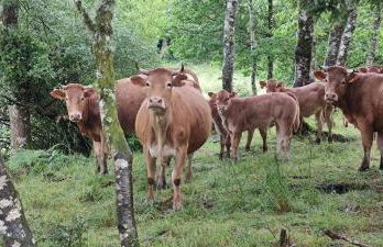 Le Pas du Loup - Photo 26