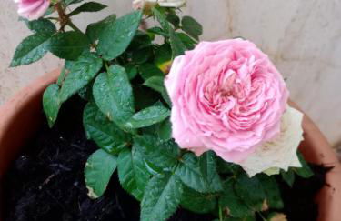 La casetta di Amenorade - Foto 29