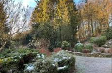 A l'orée des bois - Foto 28