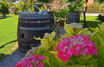 Othonas Apartments - Foto 15