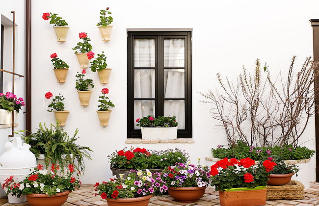 Suites La Posada De Pilar - Foto 18