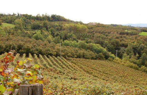 Agriturismo 'd Rainè - Foto 11