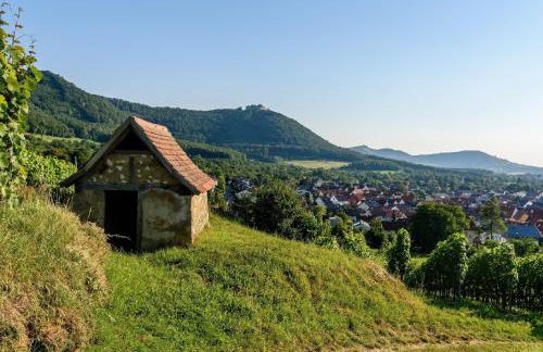 Ferienwohnung Gluiber - Foto 23